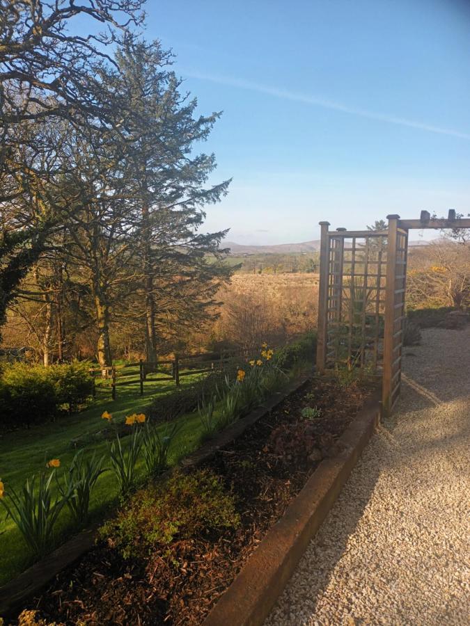 Holly Lodge Letterkenny Ngoại thất bức ảnh